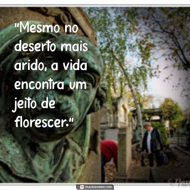 frases sobre florescer no deserto 