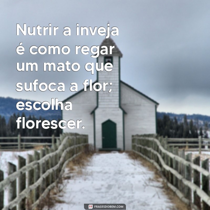 Como Lidar com a Inveja: Entenda suas Causas e Aprenda a Superá-la 