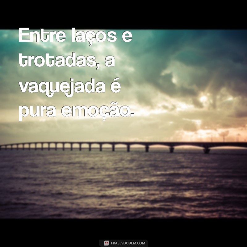 As Melhores Frases para Acompanhar Suas Fotos de Vaquejada 