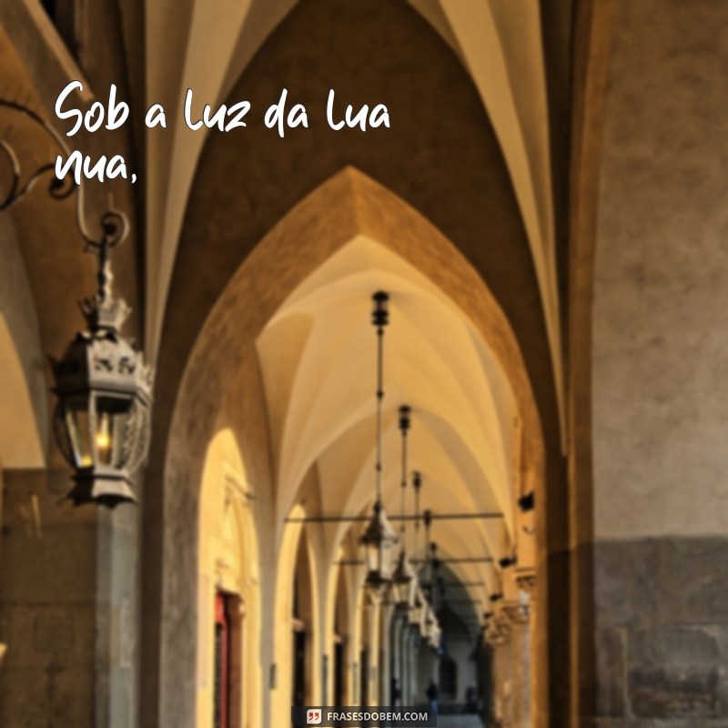 poema que rima com lua Sob a luz da lua nua,