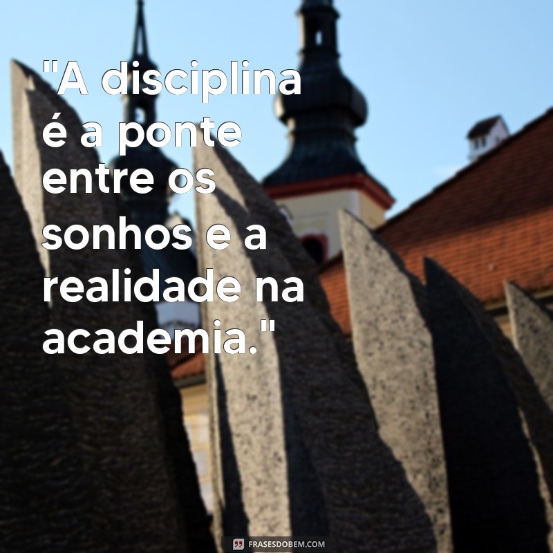 foco academia 