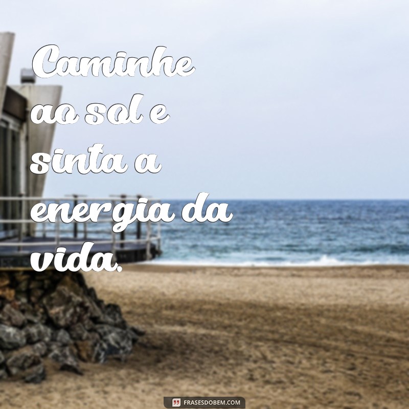 Frases Inspiradoras sobre o Sol: Luz e Energia para o Seu Dia 