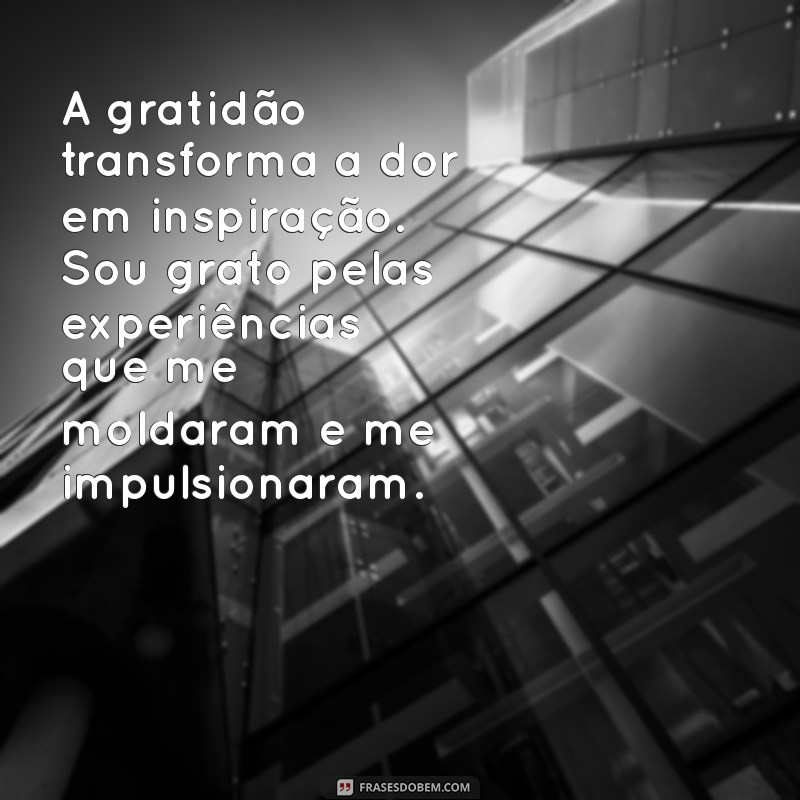 Como a Superação e a Gratidão Transformam Vidas: Inspirações e Reflexões 