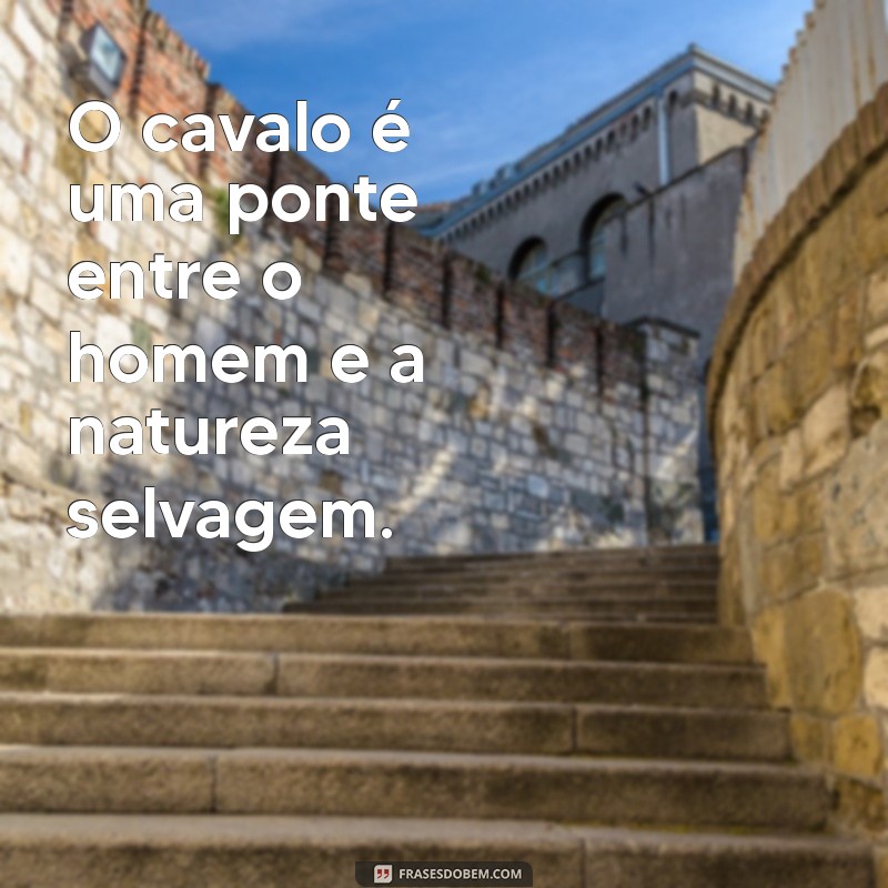 Descubra 20 Frases Inspiradoras com a Palavra Cavalo para Motivar Seu Dia 