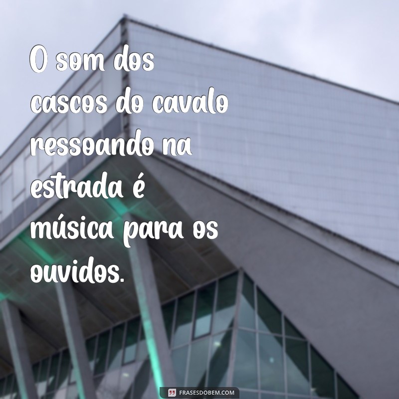 Descubra 20 Frases Inspiradoras com a Palavra Cavalo para Motivar Seu Dia 