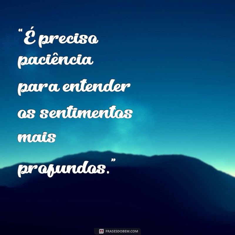 Frases Inspiradoras do Pequeno Príncipe sobre a Amizade e a Raposa 