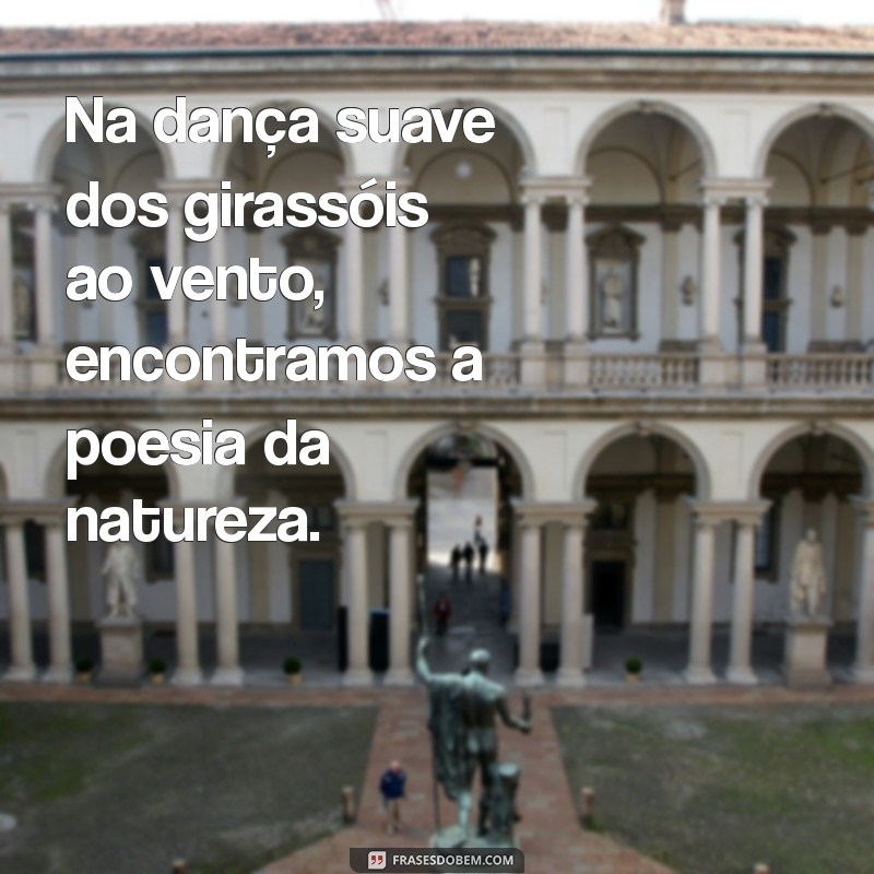 Frases Inspiradoras sobre Girassóis: Beleza e Simbolismo em Palavras 