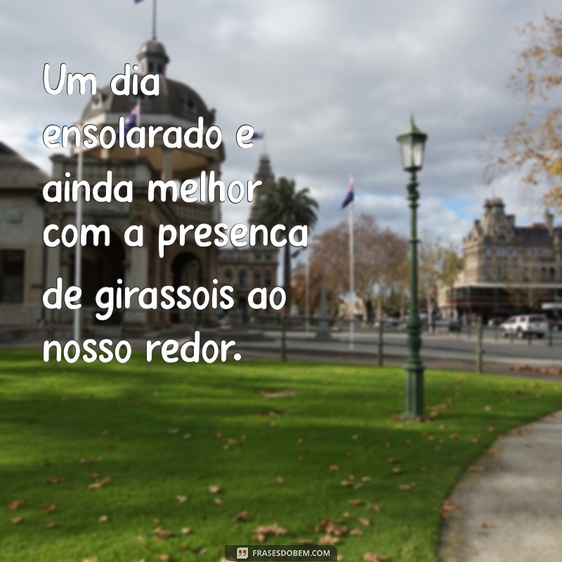 Frases Inspiradoras sobre Girassóis: Beleza e Simbolismo em Palavras 