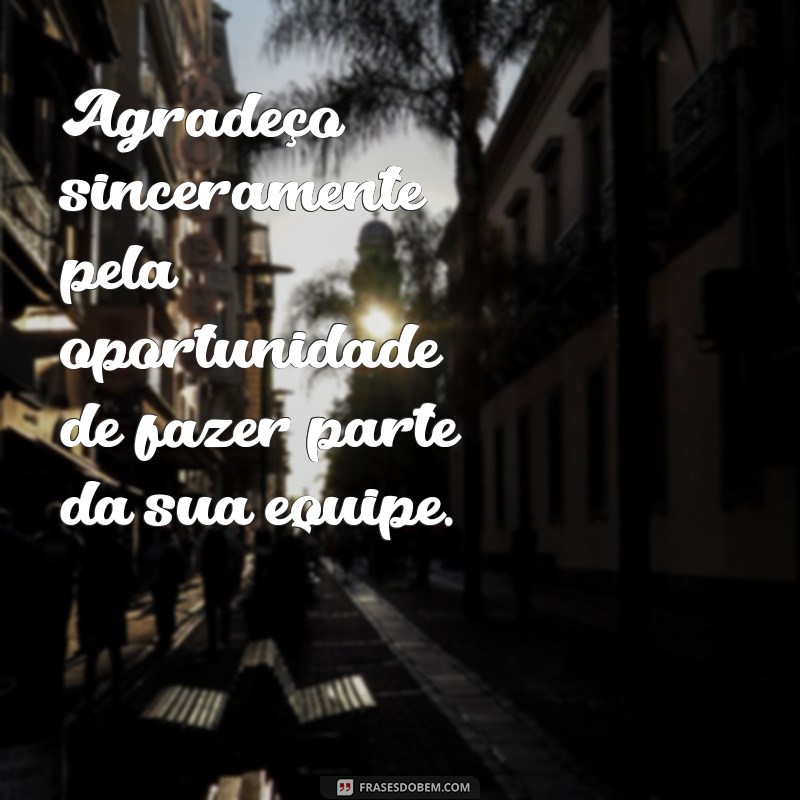 como agradecer uma oportunidade de emprego Agradeço sinceramente pela oportunidade de fazer parte da sua equipe.