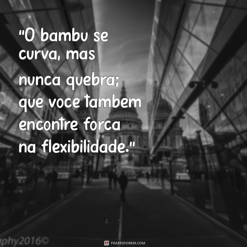 mensagem do bambu 