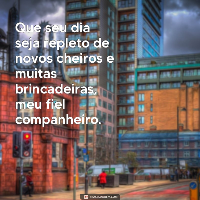 Encante seu pet com as melhores frases de aniversário para cachorro 