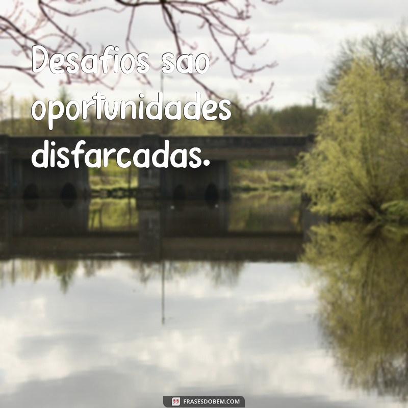 Frases Inspiradoras do Dia: Reflexões para Motivar sua Jornada 