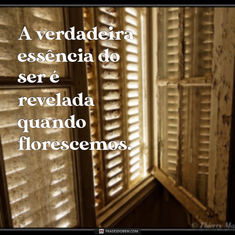 Frases Curtas Inspiradoras sobre Florescer: Renove Sua Alma 