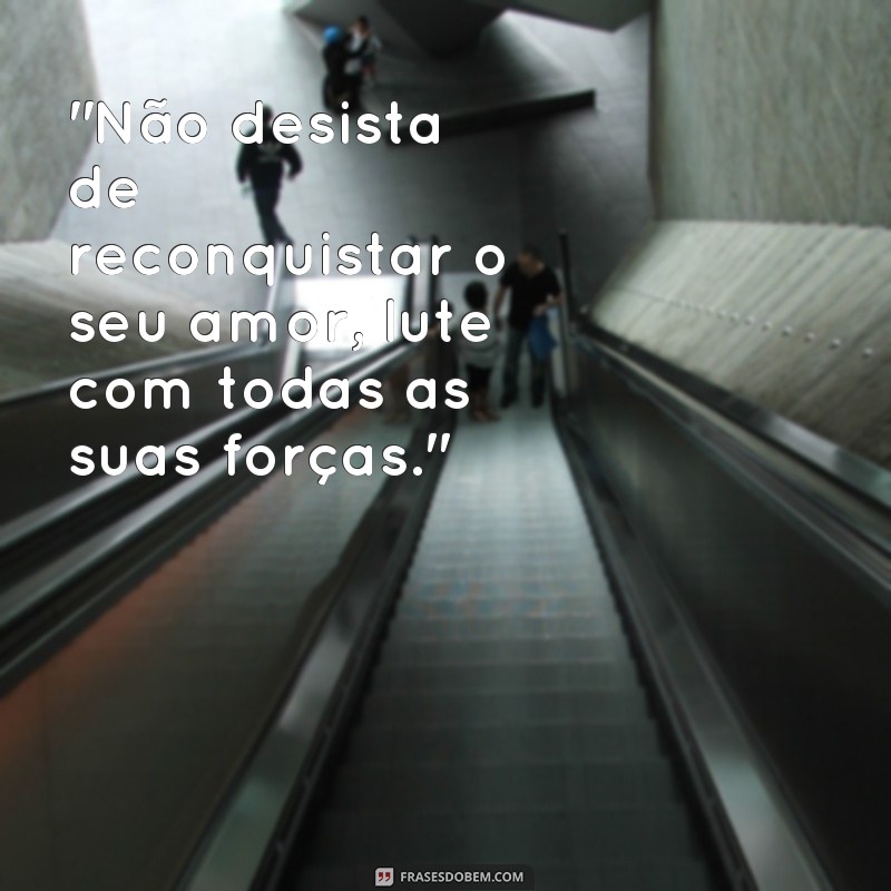 frases como reconquistar um amor 