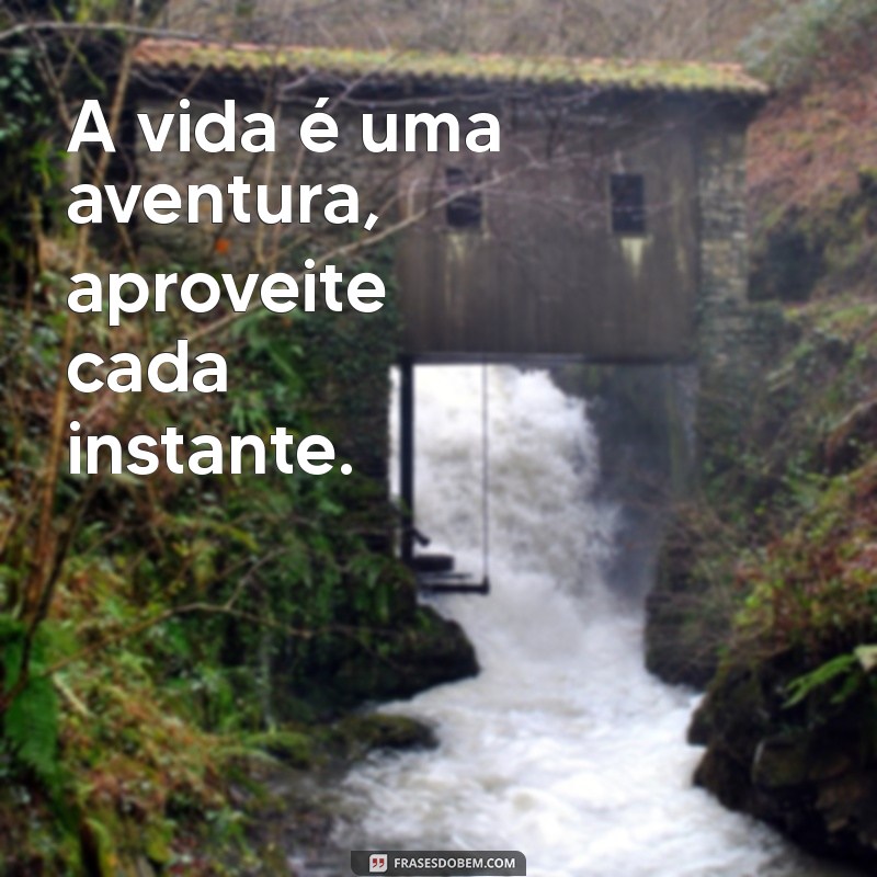 Os Melhores Status do WhatsApp: Inspire-se e Destaque-se! 