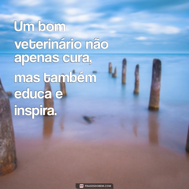 Frases Inspiradoras para Celebrar o Dia do Veterinário 