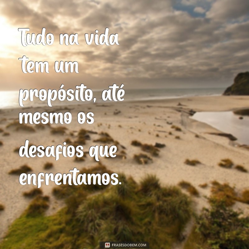 tudo na vida tem um propósito Tudo na vida tem um propósito, até mesmo os desafios que enfrentamos.