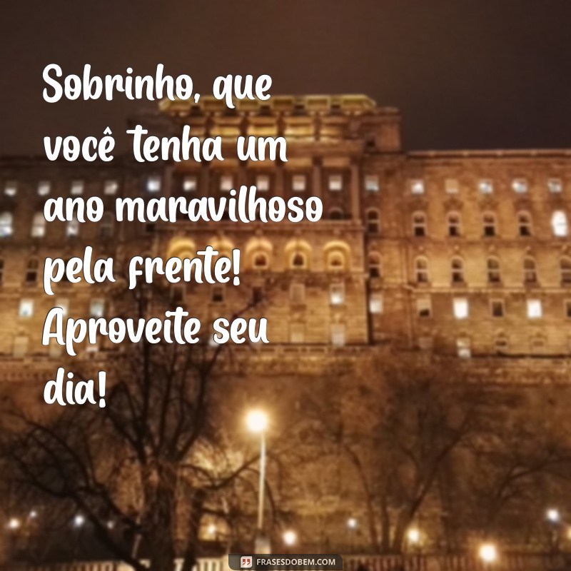 As Melhores Frases de Feliz Aniversário para Encantar Seu Sobrinho 