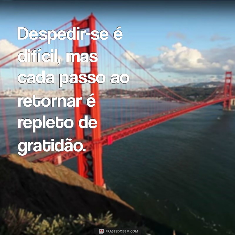 Despedidas de Viagem: 30 Frases Inspiradoras para Compartilhar 