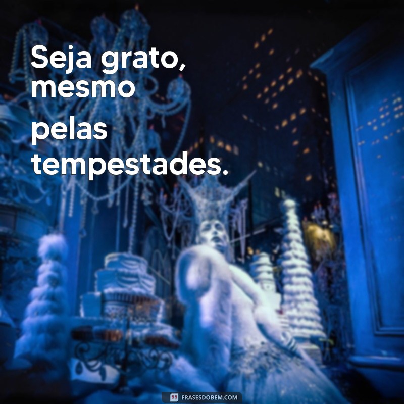 Versículos Curtos de Gratidão: Inspire-se com Palavras que Agradecem 