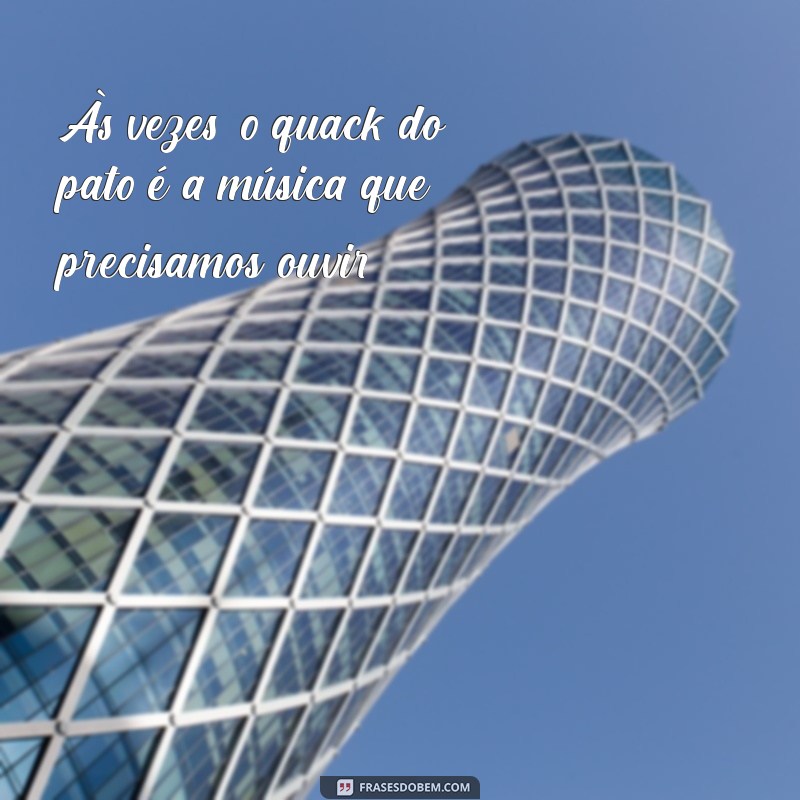 As Melhores Frases Engraçadas e Inspiradoras com Patos para Compartilhar 