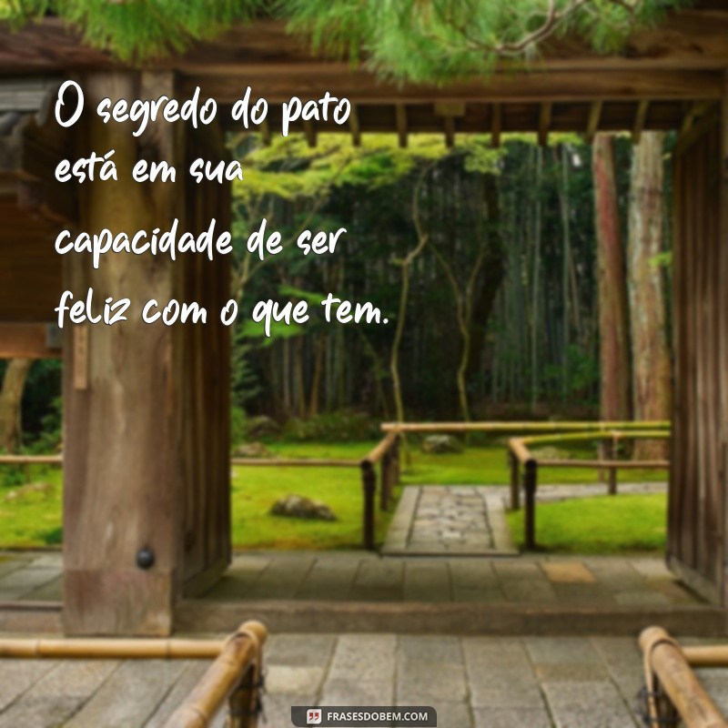 As Melhores Frases Engraçadas e Inspiradoras com Patos para Compartilhar 