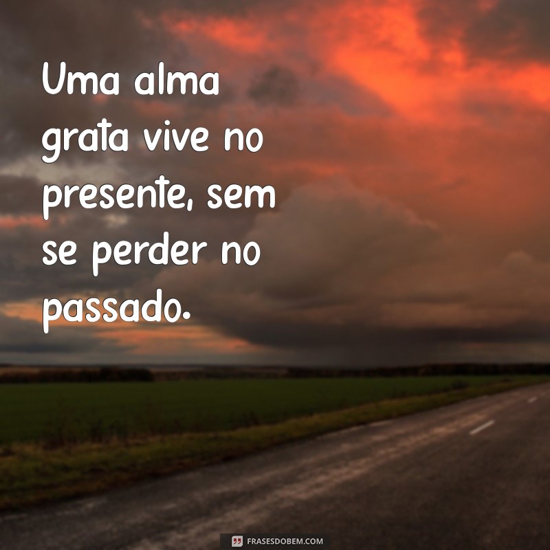 Descubra o Poder Transformador de uma Alma Grata: Como a Gratidão Pode Mudar Sua Vida 