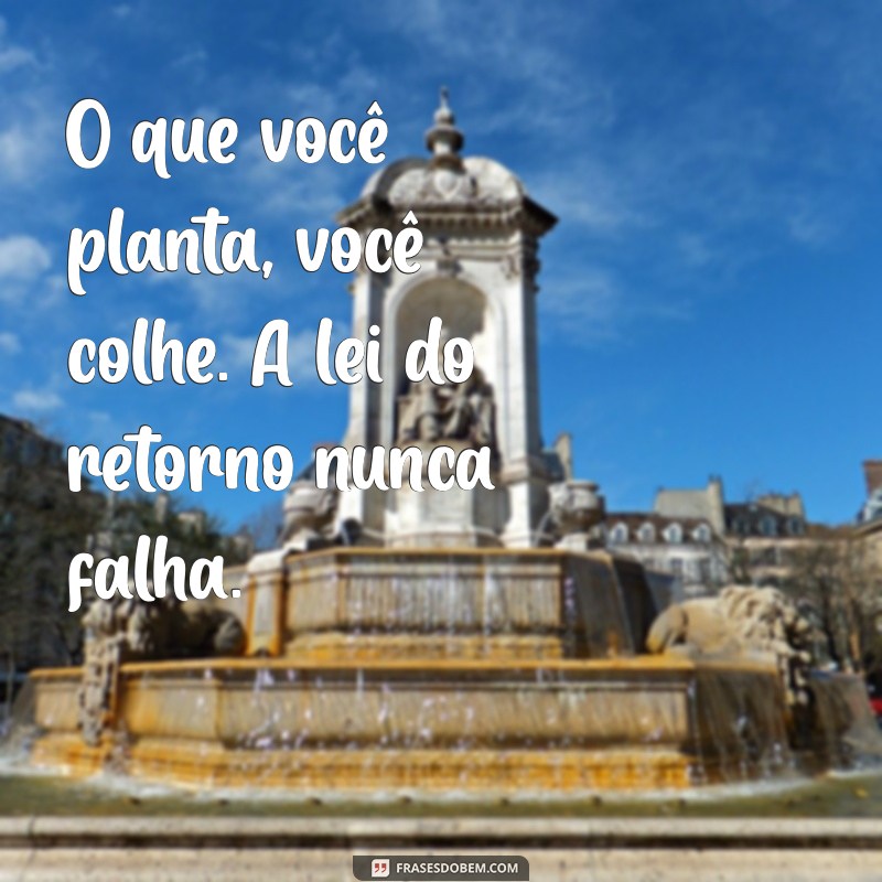 a lei do retorno nunca falha O que você planta, você colhe. A lei do retorno nunca falha.