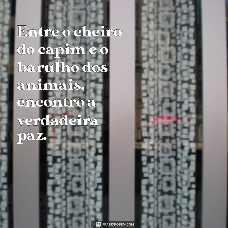 Frases Inspiradoras para Celebrar a Vida na Fazenda 