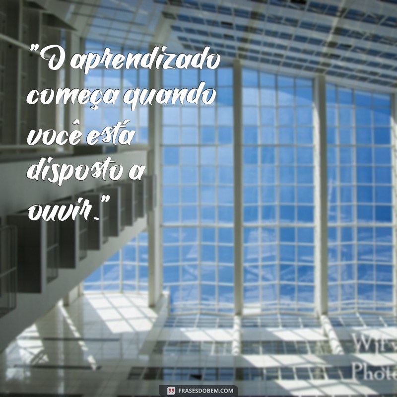 frases ensino 