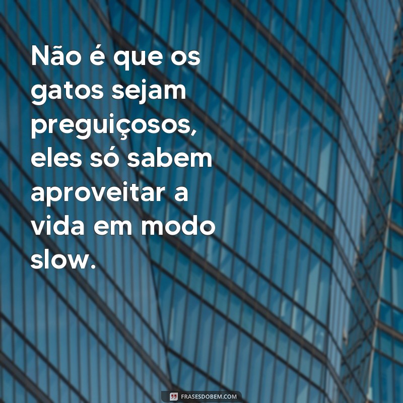 Divirta-se com as melhores frases de reflexão engraçadas para o seu dia! 