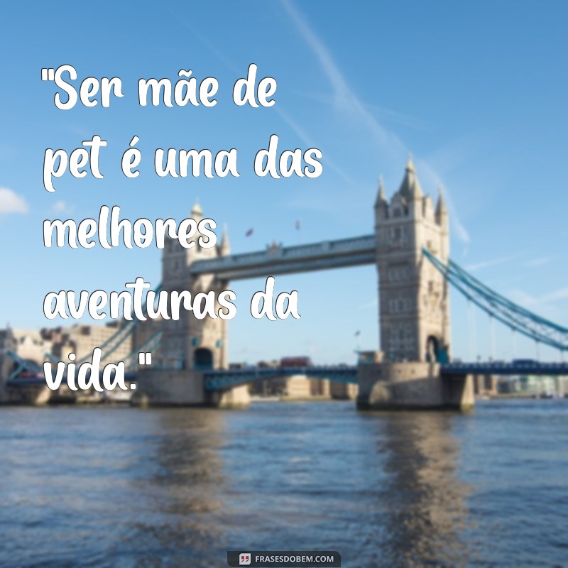 mãe de pet frases tumblr 