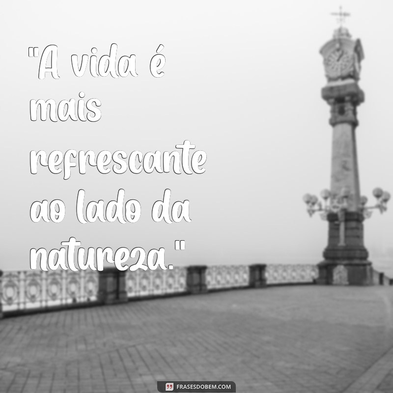 frases para foto em cachoeira 