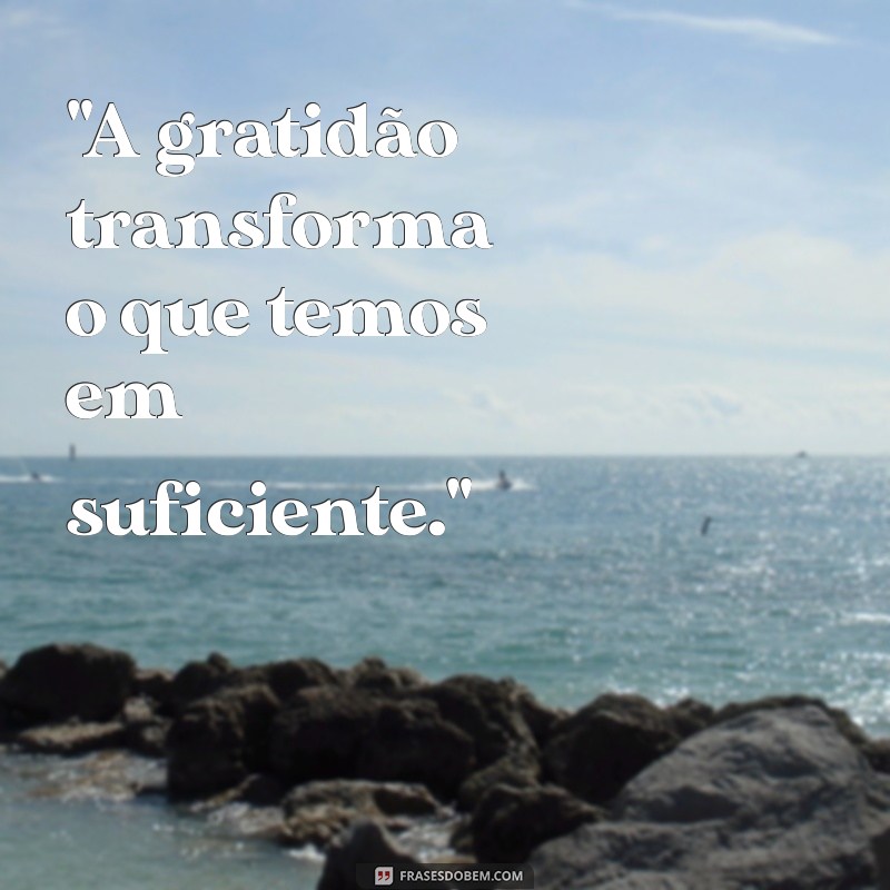 frases motivacionais de gratidão 