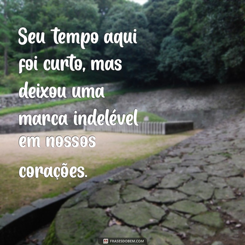 Mensagens de Despedida: Como Lidar com a Perda e Homenagear os Entes Queridos 