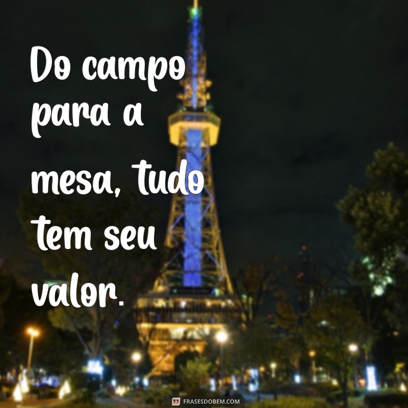 Frases Inspiradoras de Fazenda para Arrasar no Instagram 