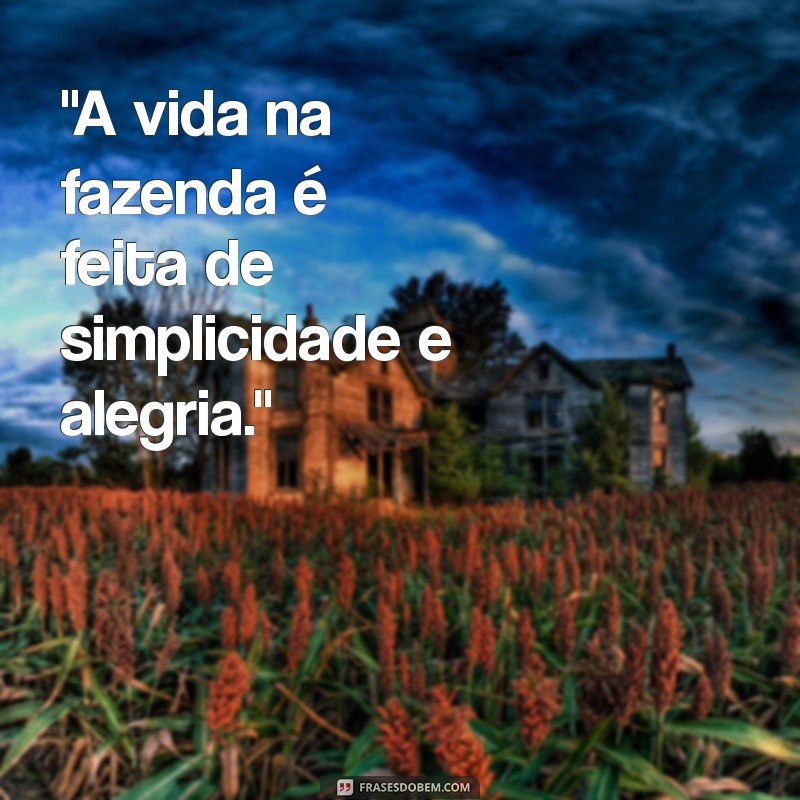 frases de fazenda para instagram 