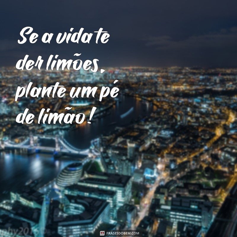 Frases Inspiradoras de Fazenda para Arrasar no Instagram 