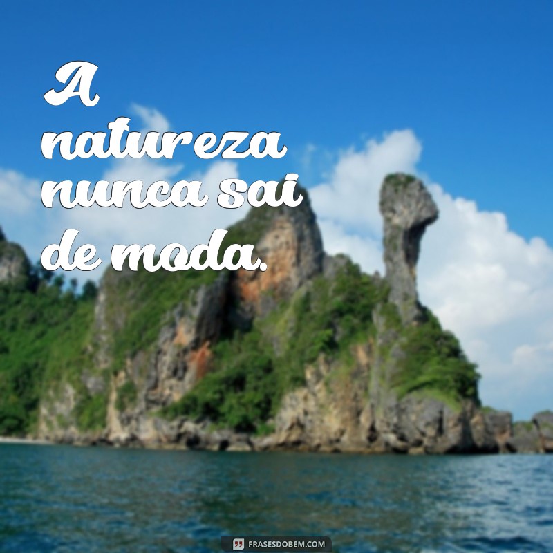 Frases Curtas Inspiradoras sobre Plantas para Amar a Natureza 