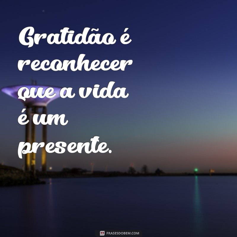 30 Frases Inspiradoras para Status de Gratidão: Expresse Sua Apreciação Diariamente 