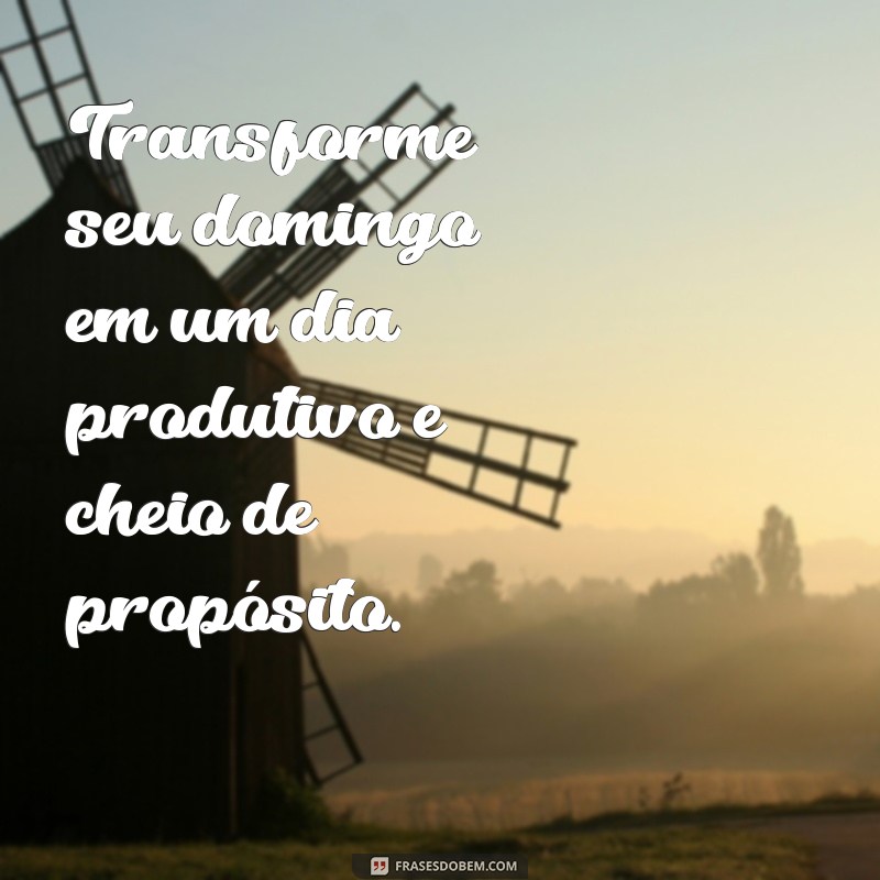 Mensagens Inspiradoras para um Domingo Abençoado: Frases para Refletir e Compartilhar 