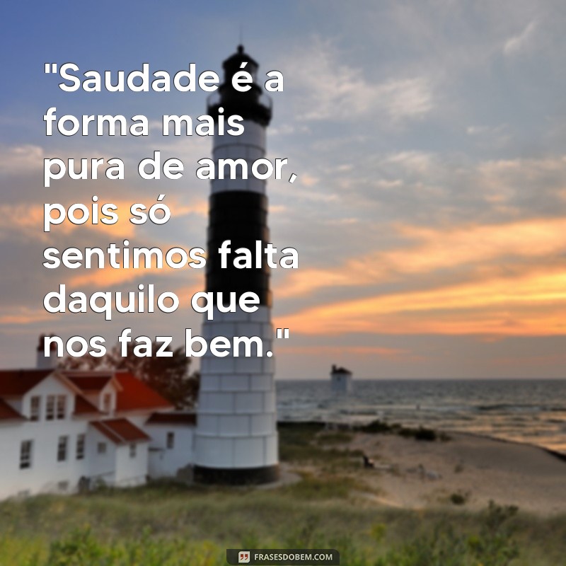 frases de chico xavier sobre saudade 