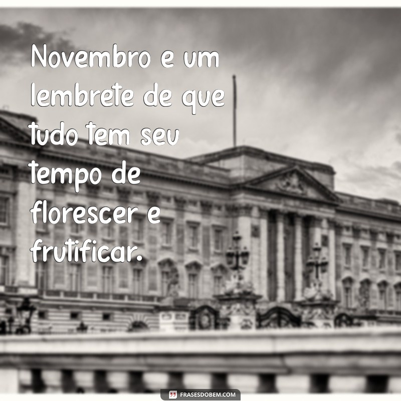 Frases Inspiradoras para Celebrar o Mês de Novembro 