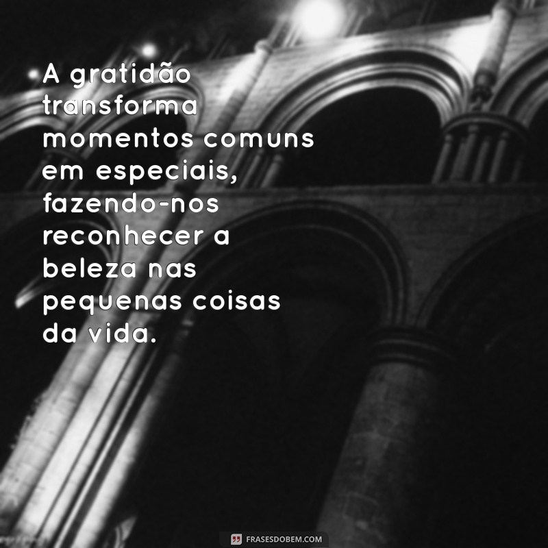 texto sobre reconhecimento e gratidão A gratidão transforma momentos comuns em especiais, fazendo-nos reconhecer a beleza nas pequenas coisas da vida.