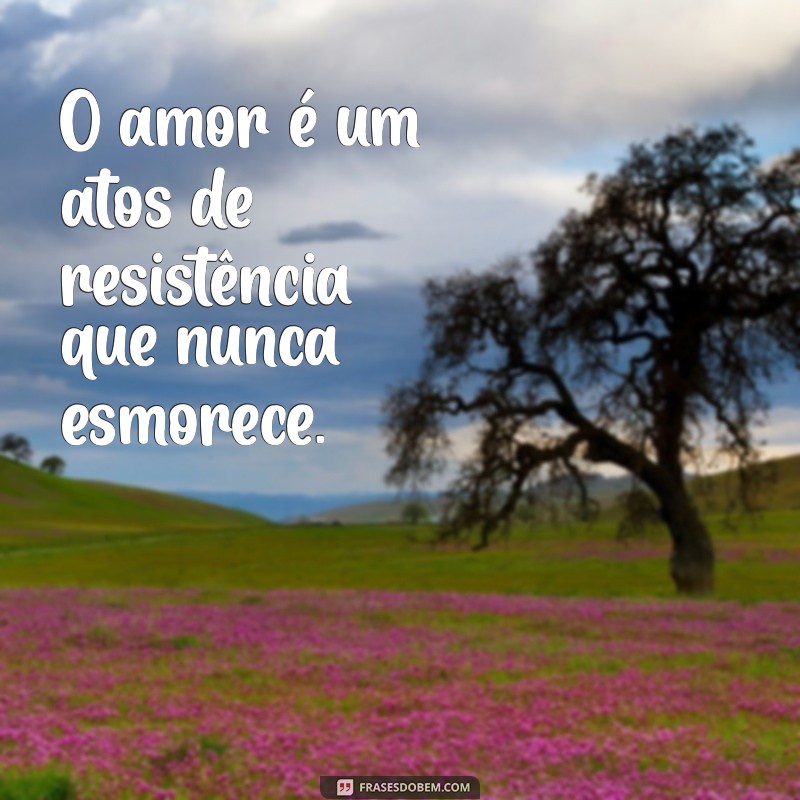 Frases Inspiradoras sobre o Amor que Tudo Suporta 