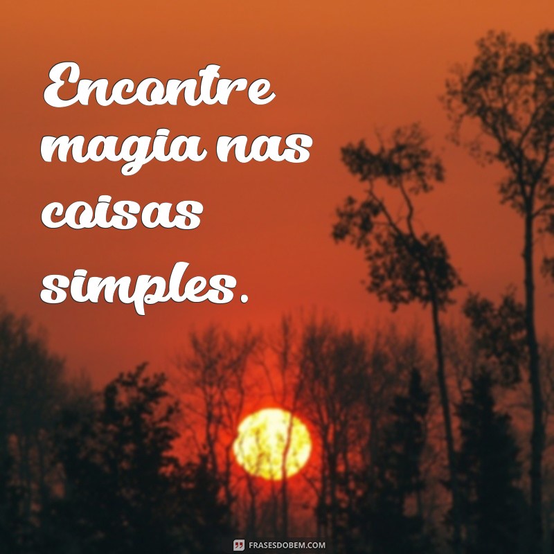 Frases Inspiradoras para Viver Livre, Leve e Solta: Transforme Seu Dia! 