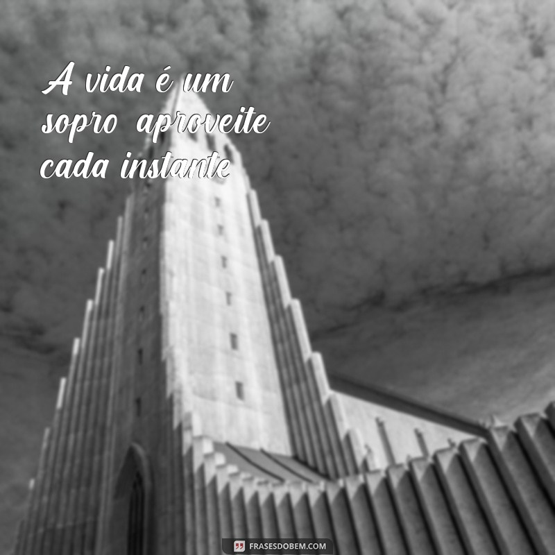 frases livre leve e solta A vida é um sopro; aproveite cada instante.