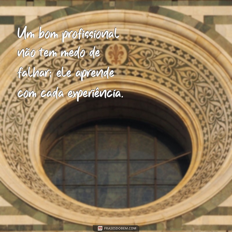 Frases Inspiradoras para Reconhecer Bons Profissionais 