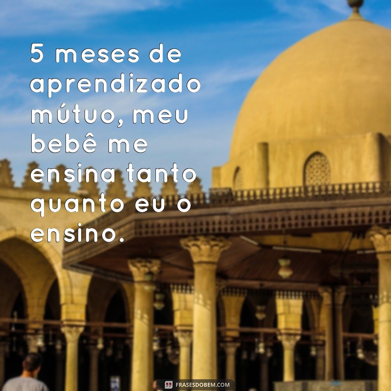 Descubra as 23 frases mais fofas do seu bebê de 5 meses! 