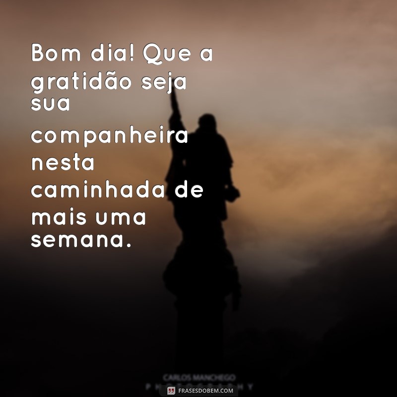 Comece a Semana com Gratidão: Mensagens Inspiradoras de Bom Dia para Segunda-Feira 